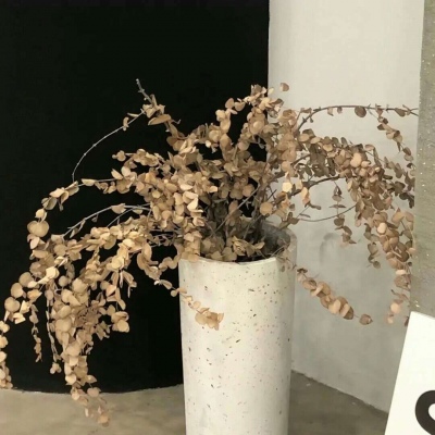 兽设火焰元素融合兽圈社群